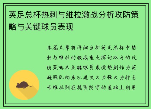 英足总杯热刺与维拉激战分析攻防策略与关键球员表现