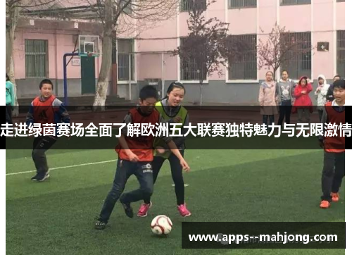 走进绿茵赛场全面了解欧洲五大联赛独特魅力与无限激情